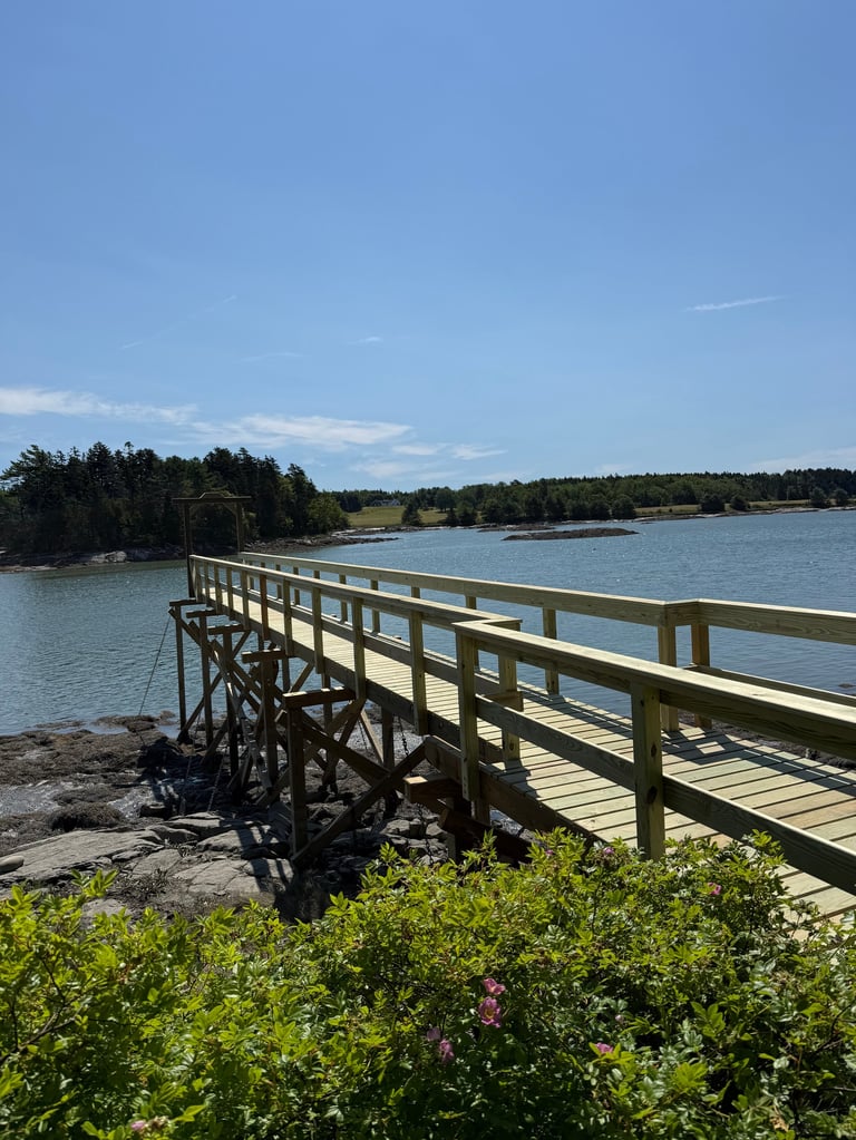 Wooden boardwalk extending over turquoise water with dense evergreen forest and clear blue sky in the background