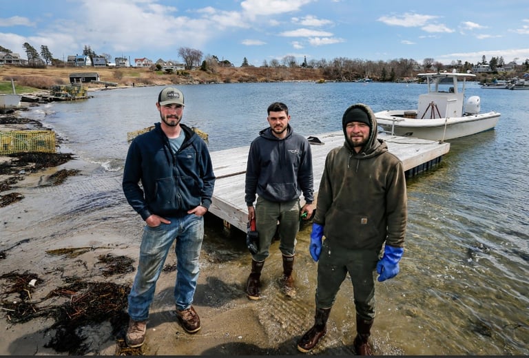 Three men standing in shallow water at a beach with boats and waterfront buildings visible in the background